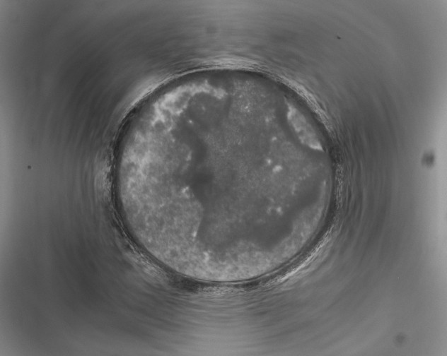 X0000116801163201001151116