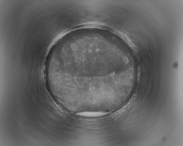 X0000116801164201001151116