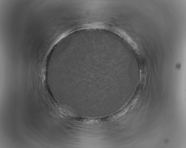 X0000116801165201001151116