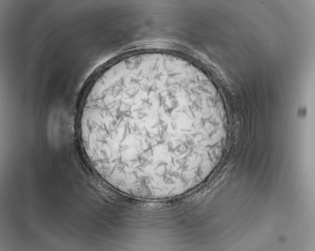 X0000116801166201001151116