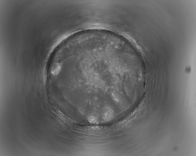 X0000116801167201001151116