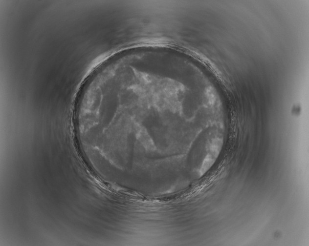 X0000116801168201001151116