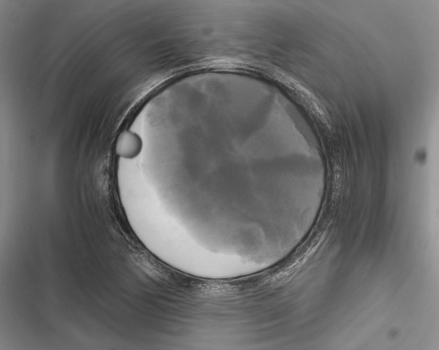 X0000116801170201001151116