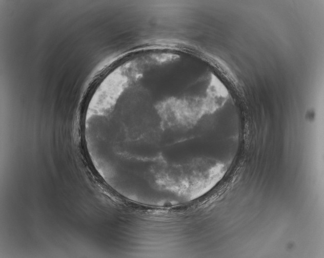 X0000116801172201001151116