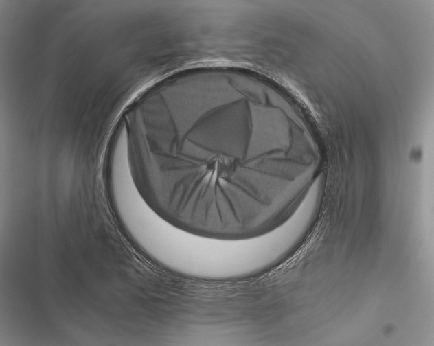 X0000116801173201001151116