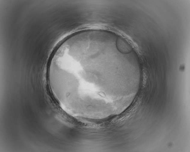 X0000116801174201001151116