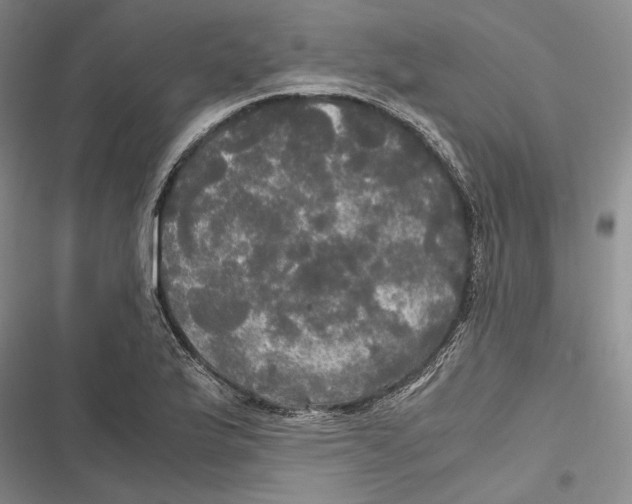 X0000116801175201001151116