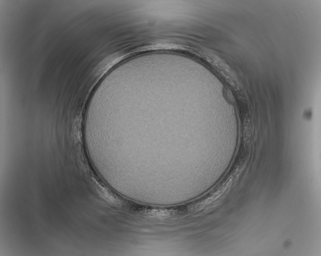 X0000116801177201001151116