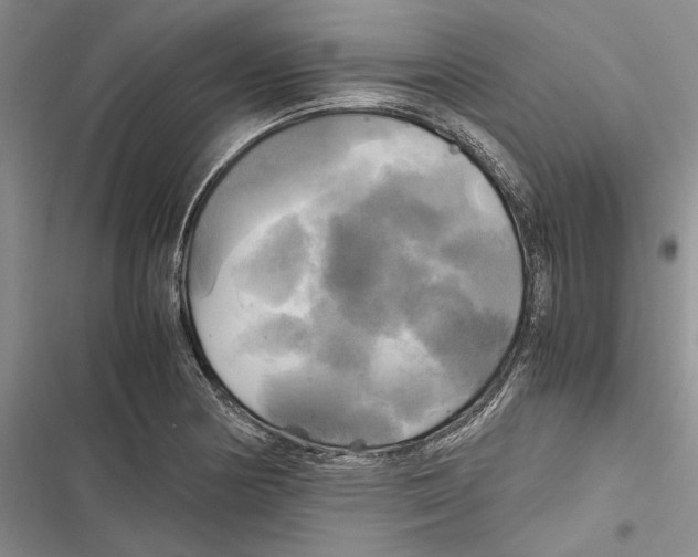 X0000116801178201001151116