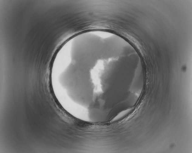 X0000116801179201001151116