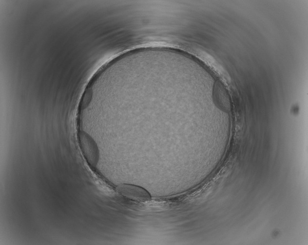 X0000116801181201001151116