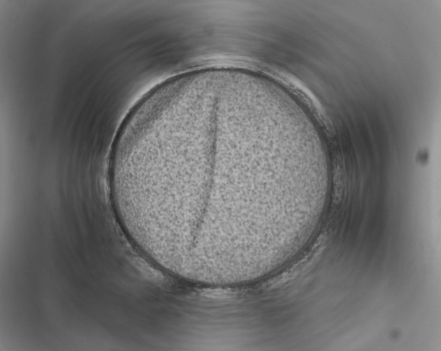 X0000116801182201001151116