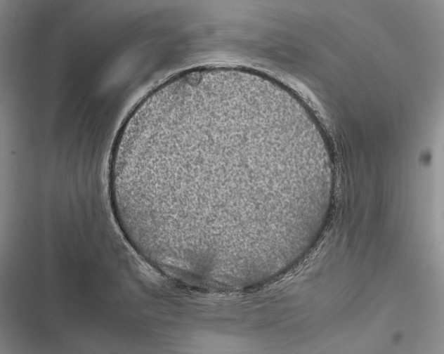 X0000116801183201001151116