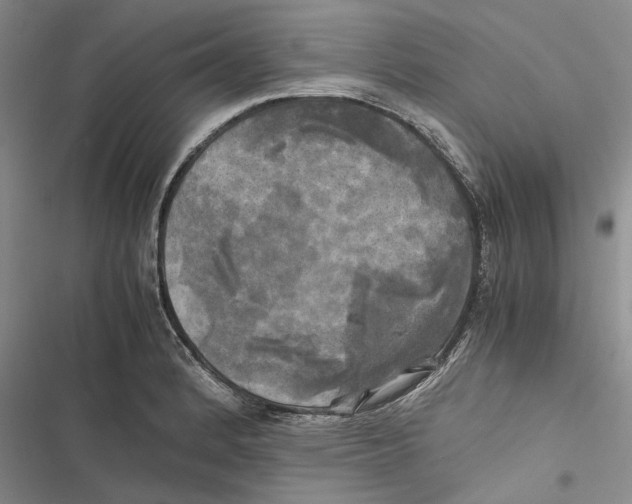 X0000116801184201001151116