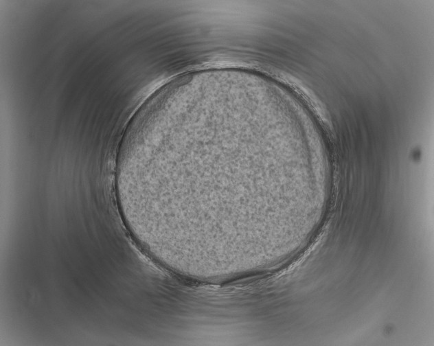 X0000116801185201001151116