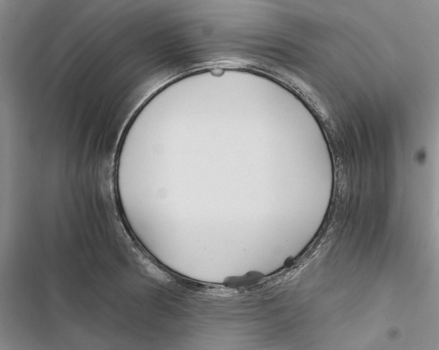 X0000116801186201001151116