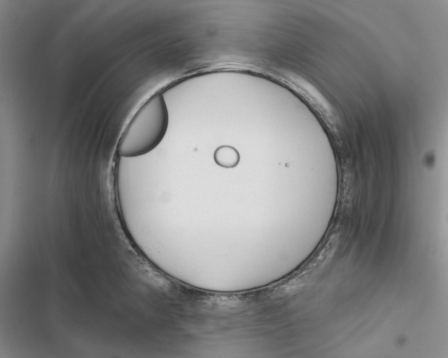 X0000116801190201001151116