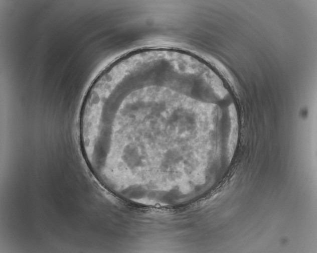 X0000116801191201001151116