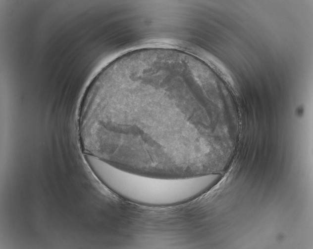 X0000116801192201001151116