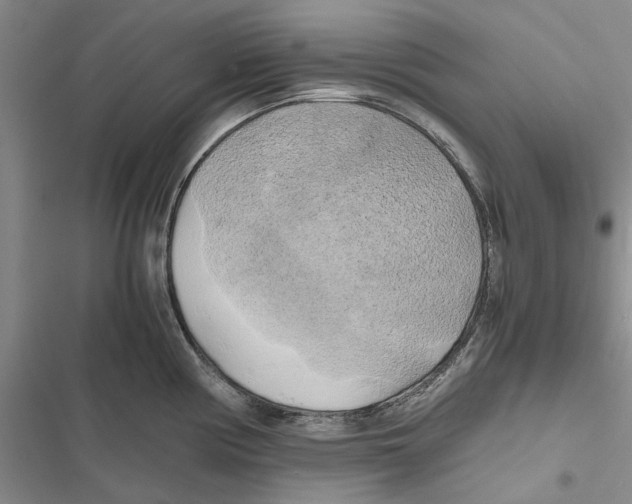 X0000116801194201001151116