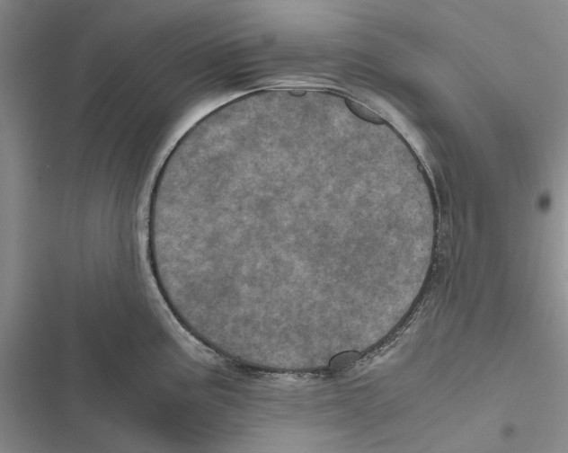 X0000116801195201001151116