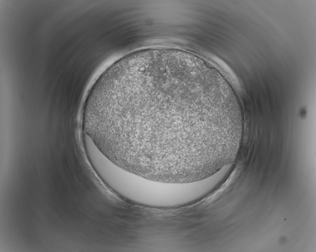 X0000116801196201001151116