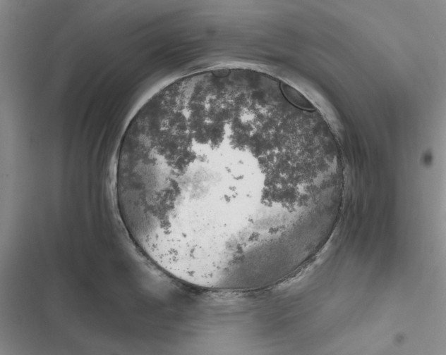 X0000116801198201001151116