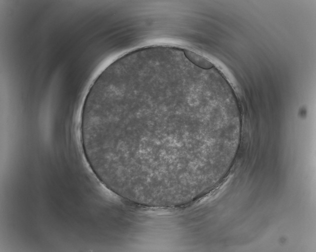 X0000116801199201001151116