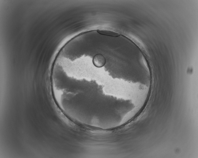 X0000116801200201001151116