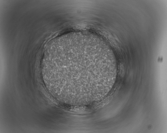 X0000116801201201001151115