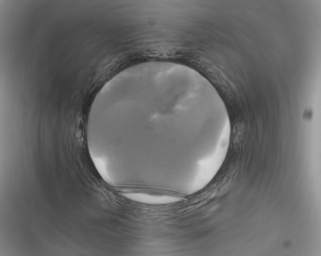 X0000116801202201001151115