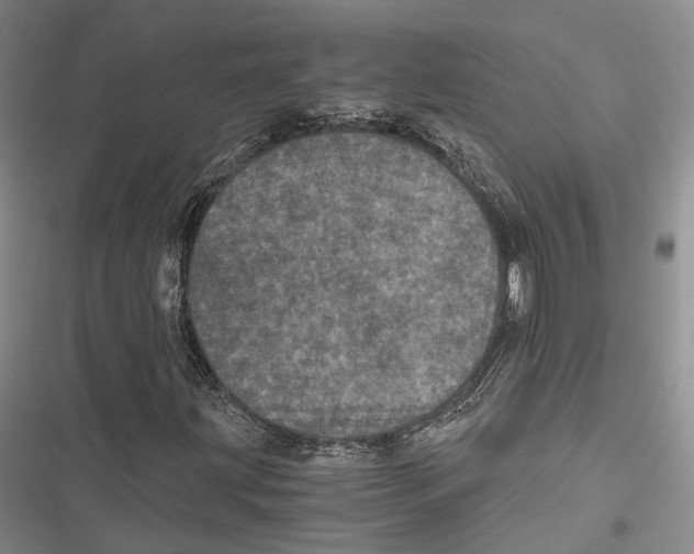 X0000116801203201001151115