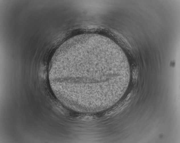 X0000116801204201001151115