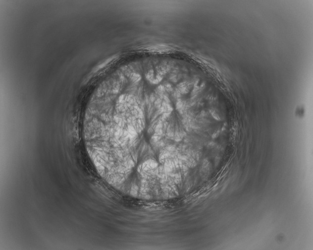 X0000116801205201001151115