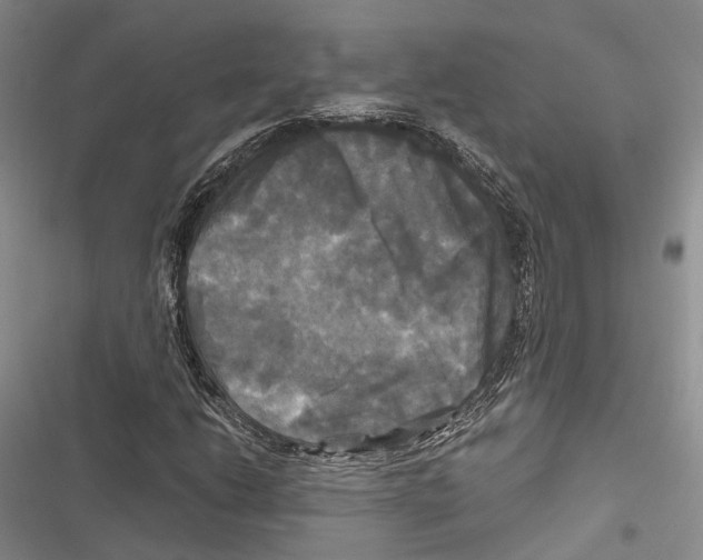 X0000116801206201001151115