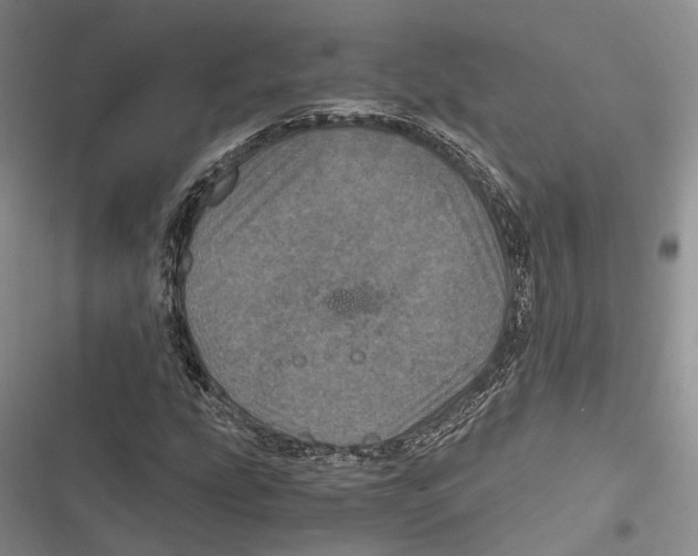 X0000116801207201001151115