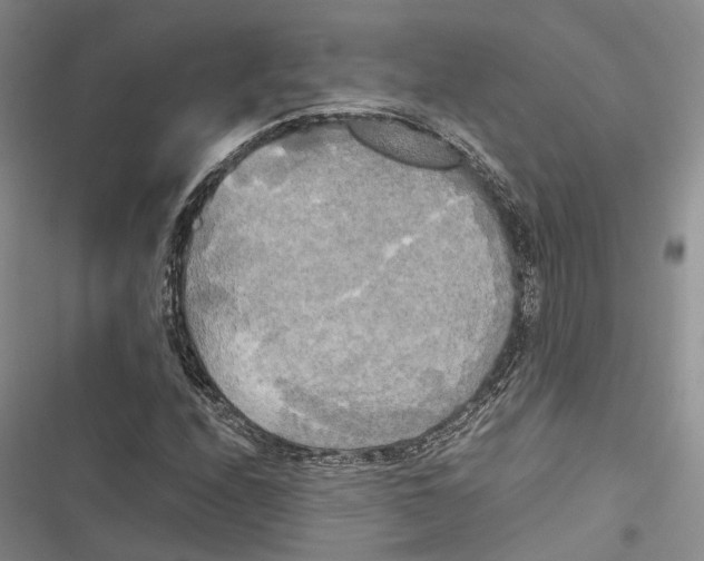 X0000116801208201001151115