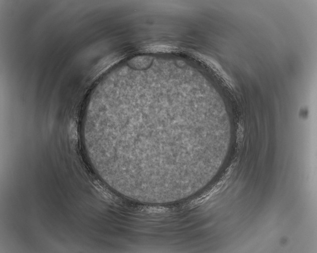 X0000116801209201001151115