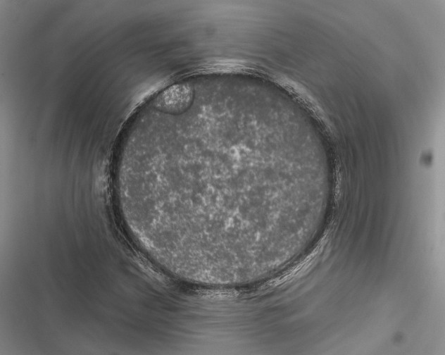 X0000116801210201001151115