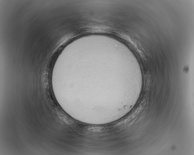 X0000116801211201001151115