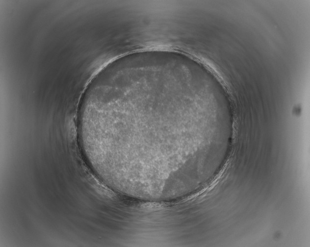 X0000116801212201001151115