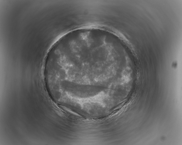 X0000116801216201001151115