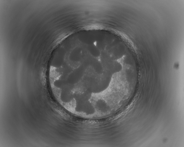 X0000116801217201001151115