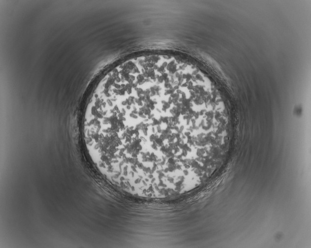 X0000116801218201001151115