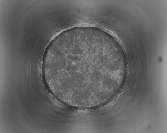 X0000116801220201001151115