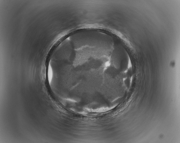 X0000116801221201001151115