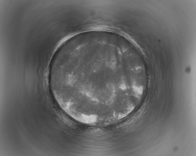 X0000116801222201001151115