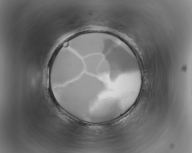X0000116801223201001151115