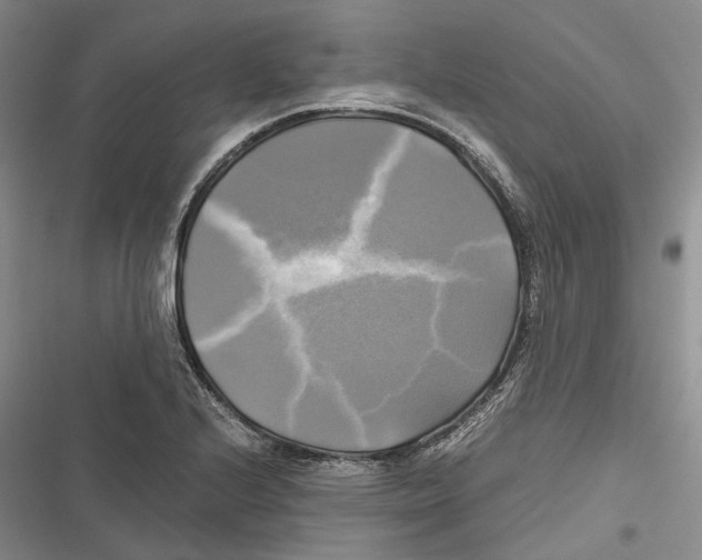 X0000116801224201001151115
