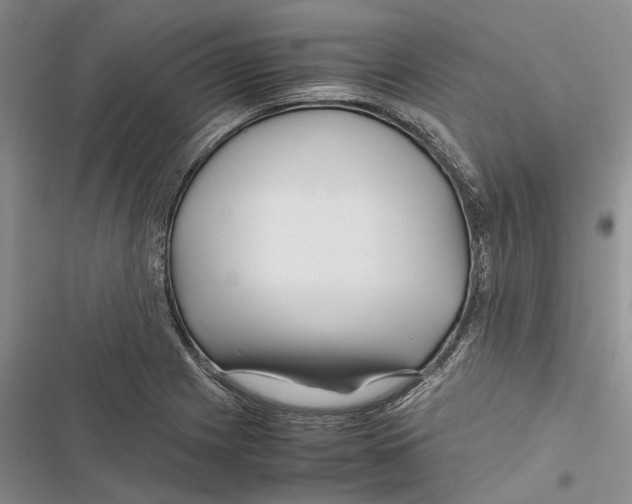 X0000116801225201001151115